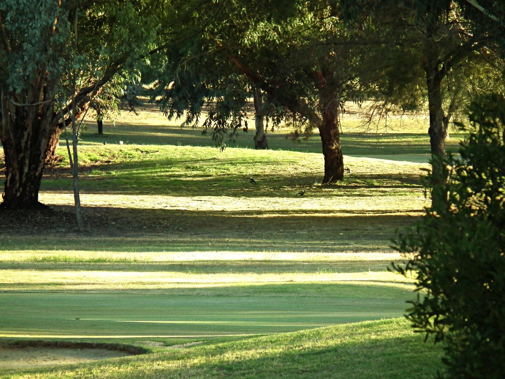 Cobram Barooga Golf Resort Habitación foto